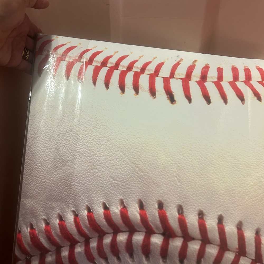 Sports-Inspired Baseball Scrap book